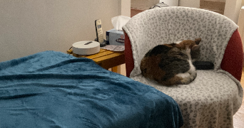 corinne pet sitter à PARIS 15 75015_1