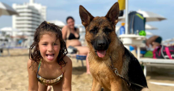 chiara pet sitter à MARSEILLE 06 13006_4
