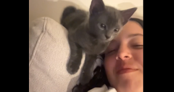 olivia pet sitter à PARIS 11 75011_3