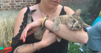 lidwine pet sitter à BILLY BERCLAU 62138_1