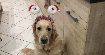 marlène pet sitter à VEZERONCE CURTIN 38510_6