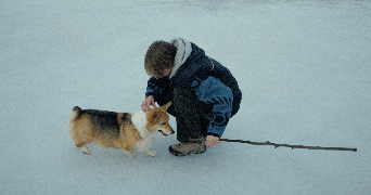 vasylysa pet sitter à ST DENIS 93200_1