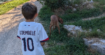 alexandra pet sitter à GRASSE 06130_2