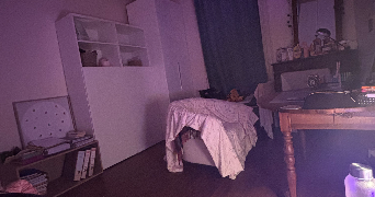 nada pet sitter à NANTES 44000_1