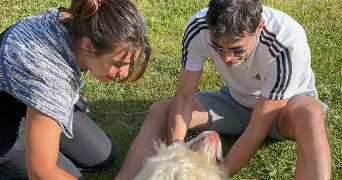 elona pet sitter à PARIS 13 75013_3