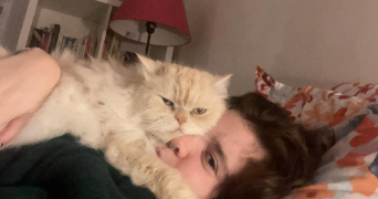 laura pet sitter à RENNES 35200_1