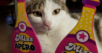 guylène pet sitter à AYSE 74130_4