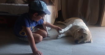 colline pet sitter à GLANDON 87500_1