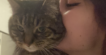 mathilda pet sitter à BLAGNAC 31700_3