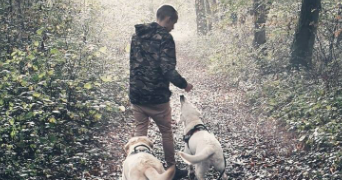 maxime pet sitter à ANTHEUIL PORTES 60162_0