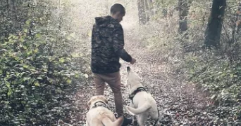 maxime pet sitter à ANTHEUIL PORTES 60162