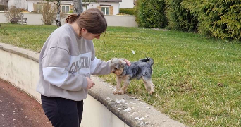 chloé pet sitter à REIMS 51100_6
