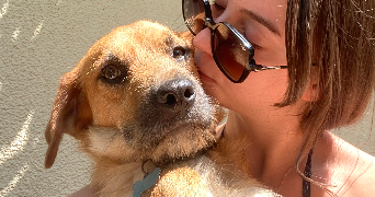 hoelenn pet sitter à LOCMARIA PLOUZANE 29280_1