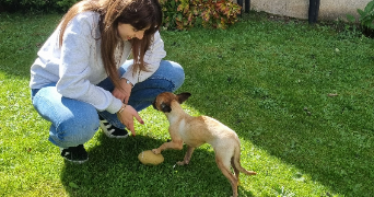 andrea pet sitter à MITRY MORY 77290_7