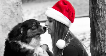 lauren pet sitter à LAGNIEU 01150_1