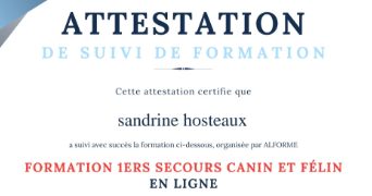 sandrine pet sitter à COUVIN 5660_5