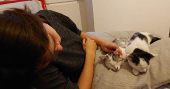 anaïs pet sitter à JOUE LES TOURS 37300_2