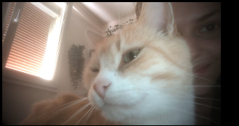 manon pet sitter à VANDOEUVRE LES NANCY 54500_2