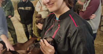 wendy pet sitter à ESCHAU 67114_0