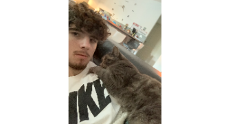 noé pet sitter à MONTREUIL JUIGNE 49460_2