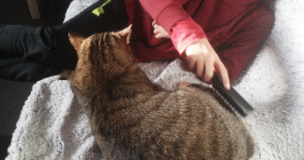 anne pet sitter à GUEMENE PENFAO 44290_4