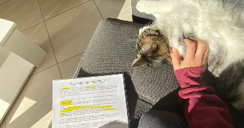emma pet sitter à TOULOUSE 31000_1