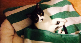 océane pet sitter à PARIS 06 75006_3