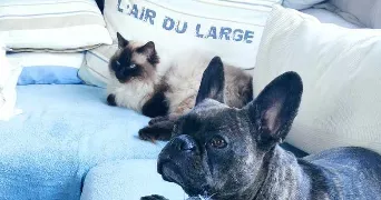 coralie pet sitter à PARIS 15 75015