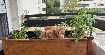 mathilde pet sitter à LA MADELEINE 59110_2