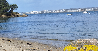 séverine pet sitter à LES ESSARTS LE ROI 78690_0