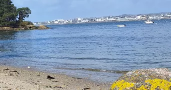 séverine pet sitter à LES ESSARTS LE ROI 78690