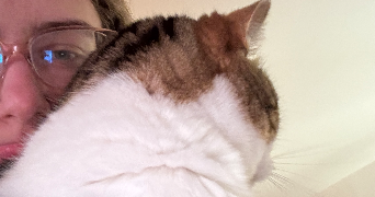 flavie pet sitter à RUEIL MALMAISON 92500_1