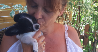 gomez pet sitter à MARSEILLE 12 13012_1