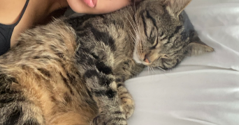 shaina pet sitter à ILLZACH 68110_0