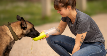 juliette pet sitter à MERIGNAC 33700_1