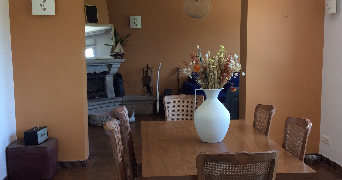 emilie pet sitter à PLOUMAGOAR 22970_5