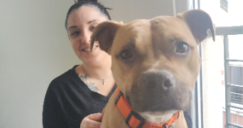 laura pet sitter à CONFLANS STE HONORINE 78700_1