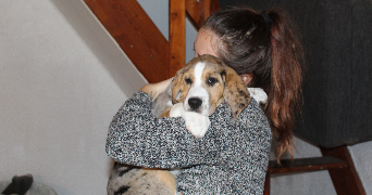amandine pet sitter à METZ 57000_0