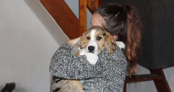 amandine pet sitter à METZ 57000
