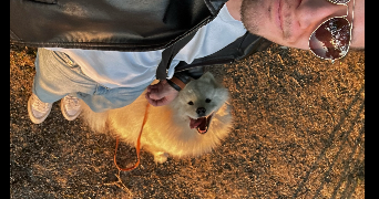 yann pet sitter à LILLE 59000_1
