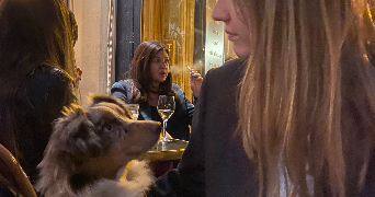 malvina pet sitter à MARSEILLE 03 13003_2
