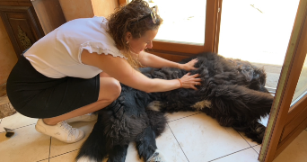 françois pet sitter à DEGRE 72550_3