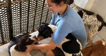 marine pet sitter à TOULOUSE 31300_2