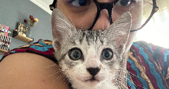 maryam pet sitter à PERPIGNAN 66000_2