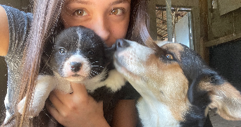 chloe pet sitter à MONTAUBAN 82000_1