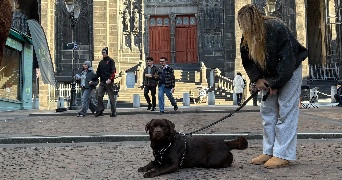 lilou pet sitter à CLERMONT FERRAND 63000_1