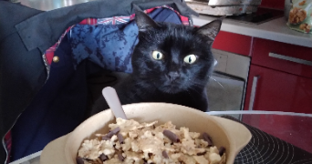 sebastien pet sitter à ANTIBES 06600_1