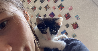 lou pet sitter à TOULOUSE 31100_3