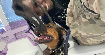 kevin pet sitter à CLERE LES PINS 37340