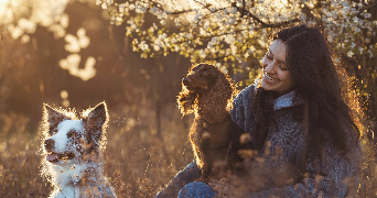 lou pet sitter à AMIENS 80080_0